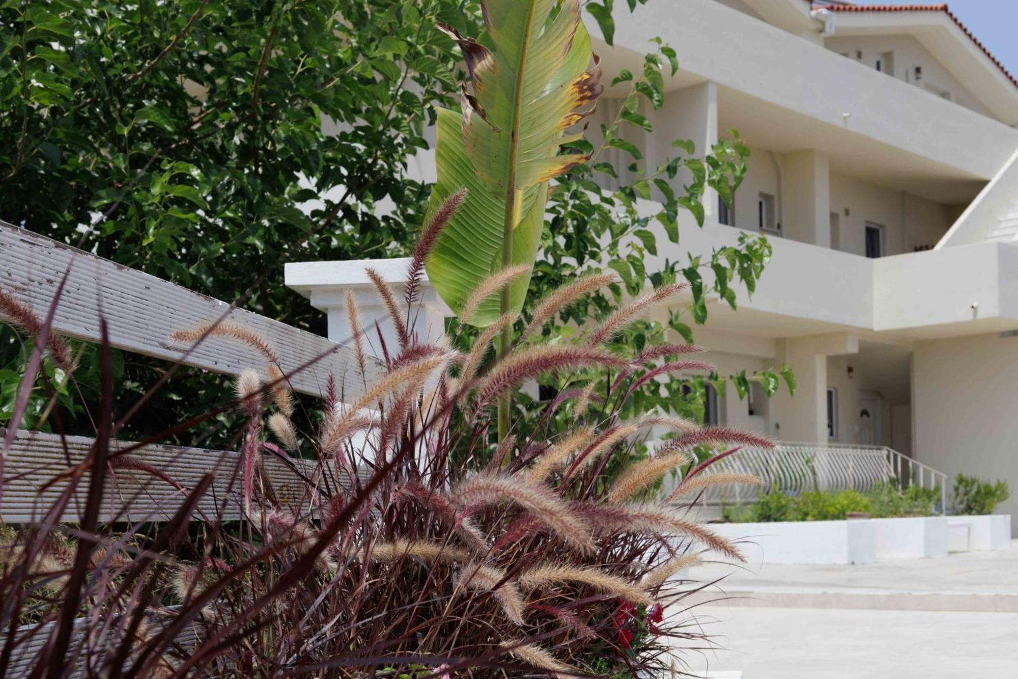 Maggana Residence Minia Buitenkant foto